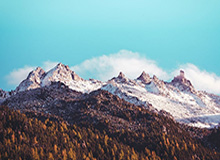 官方：津门虎与方镜淇、哈达斯、黄嘉辉、王献钧完成续约